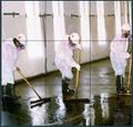 Asbestos Removal and Cleanup