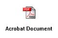 Adobe Acrobat Document