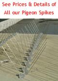 Picture of Pigeon Control Spikes