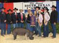 2011 County Show Pig Winners