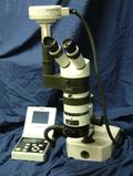 Microscope Light Microscopy