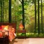 The Inspiration for Green Bedroom Designs
