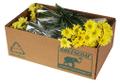 GREENCOAT   Wax-Free Boxes for Flowers, Greenery & Landscaping Products