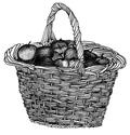 basket with Vermont apples