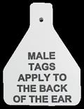 White male tag