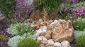 Water Feature with Dry Stream Bed