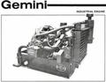 gemini pumping unit engines