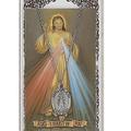 Divine Mercy Prayer Card Set (PSD964)