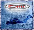 Link: Designated Diver