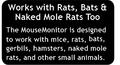 Rats, Bats 