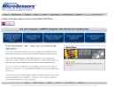 Website Snapshot of Advanced MicroSensors, Inc.