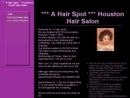 Website Snapshot of A HAIR SPOT