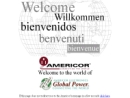 Website Snapshot of Americor Electronics Ltd.