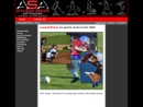 Website Snapshot of Athletic Socks & Accessories
