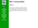 Website Snapshot of Bell, Inc.