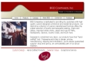 Website Snapshot of BGD Companies, Inc.