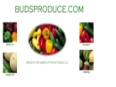 Website Snapshot of BUD'S PRODUCE