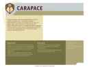 Website Snapshot of CARAPACE ARMOR TECHNOLOGY