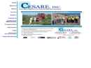 Website Snapshot of CESARE, INC.