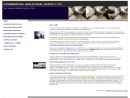 Website Snapshot of Commercial Industrial Supply Co., Inc.