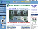 Website Snapshot of Cleaner Today