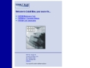 Website Snapshot of COBALT BLUE, INC.