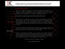 Website Snapshot of DESIGNERS EDGE INC