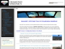 Website Snapshot of Diamond Visionics