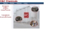 Website Snapshot of E & C CHEMICALS , INC