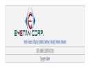 Website Snapshot of EMETAN CORPORATION