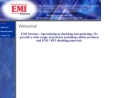 Website Snapshot of E M I Systems