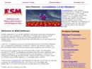 Website Snapshot of E. S. M. SOFTWARE, INC
