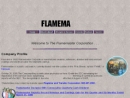 Website Snapshot of Flamemaster Corp.