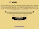 Website Snapshot of Flying W, Inc.