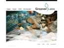 Website Snapshot of GROOVER LABS INC