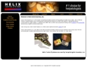 Website Snapshot of Helix Controls, Inc.