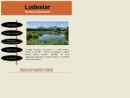 Website Snapshot of Lodestar Inc