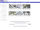 Website Snapshot of Metglas, Inc.