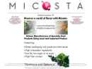 Website Snapshot of MICOSTA ENTERPRISES, INC.