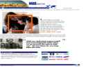 Website Snapshot of MIS Computer Corp.