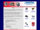 Website Snapshot of Nastra Automotive Industries, Inc.