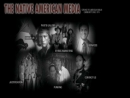 Website Snapshot of NATIVE AMERICAN MEDIA