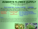 Website Snapshot of ROBERTS FLOWER SUPPLY