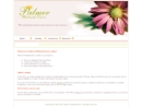 Website Snapshot of Palmer Wholesale Decor Llc