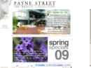Website Snapshot of Payne Street Imports, Inc.