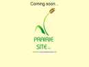 Website Snapshot of PRAIRIE SITE LLC