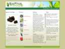 Website Snapshot of Sapna Foods Inc