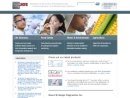 Website Snapshot of Strategic Diagnostics, Inc.