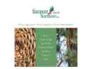 Website Snapshot of SIZEMORE & SIZEMORE INC