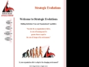 Website Snapshot of Strategic Evolutions